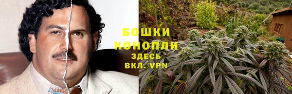 первитин Белоозёрский