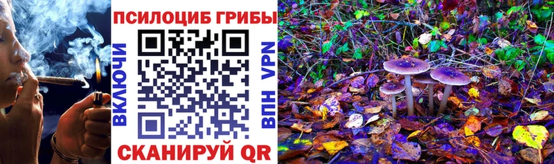 Галлюциногенные грибы ЛСД  как найти закладки  Эртиль 